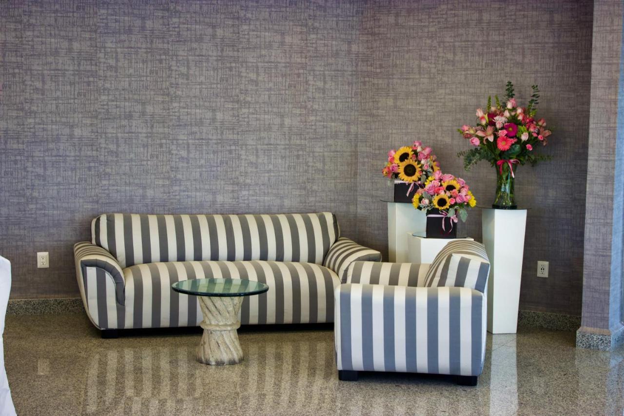 San Juan Park Hotel San Juan del Río Εξωτερικό φωτογραφία A sofa and armchair