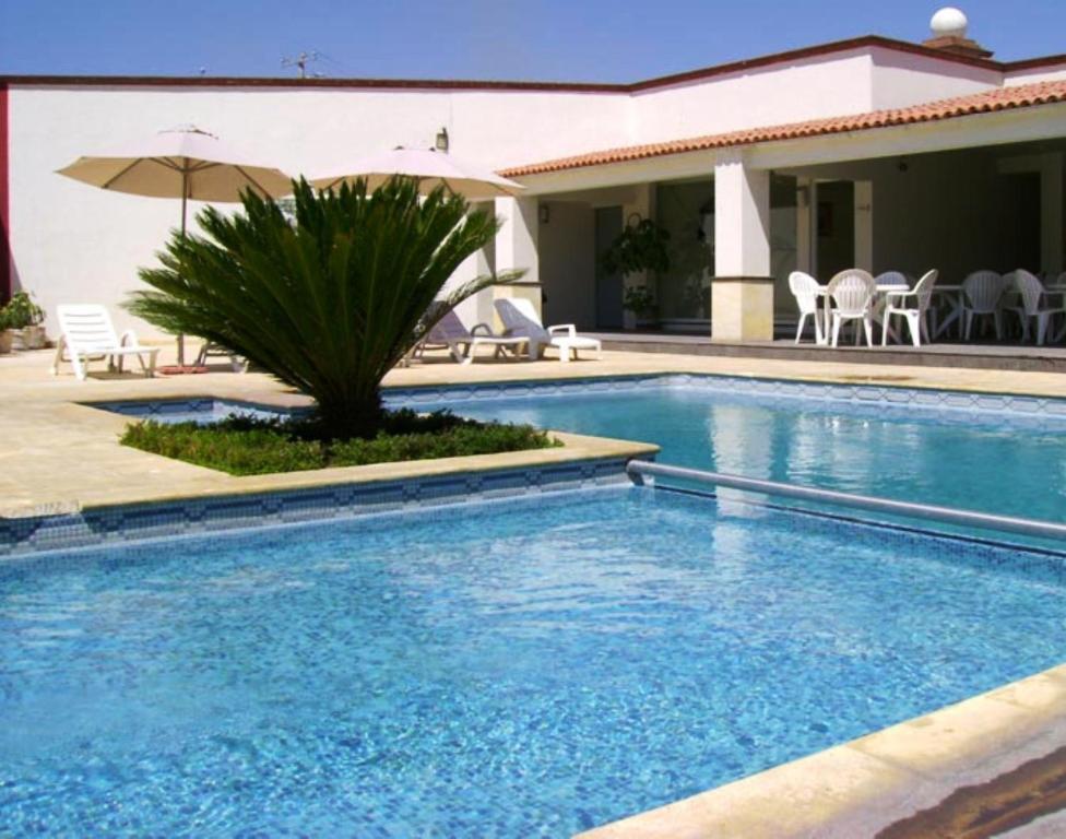 San Juan Park Hotel San Juan del Río Εξωτερικό φωτογραφία A swimming pool